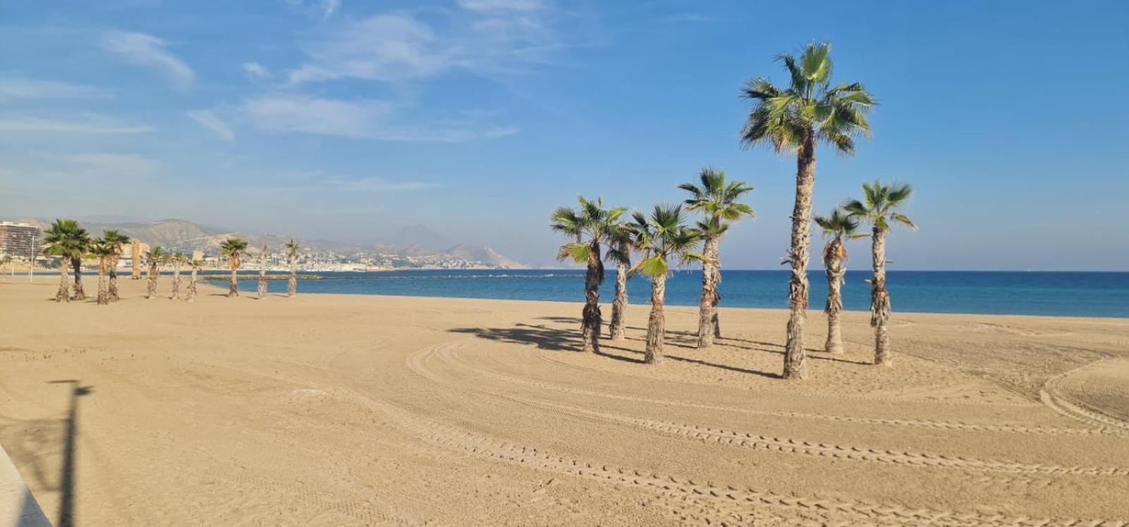 Jardin Del Mar Playa Muchavista - El Campello - Alicante Lejlighed Eksteriør billede