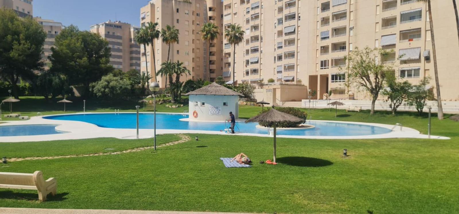 Jardin Del Mar Playa Muchavista - El Campello - Alicante Lejlighed Eksteriør billede