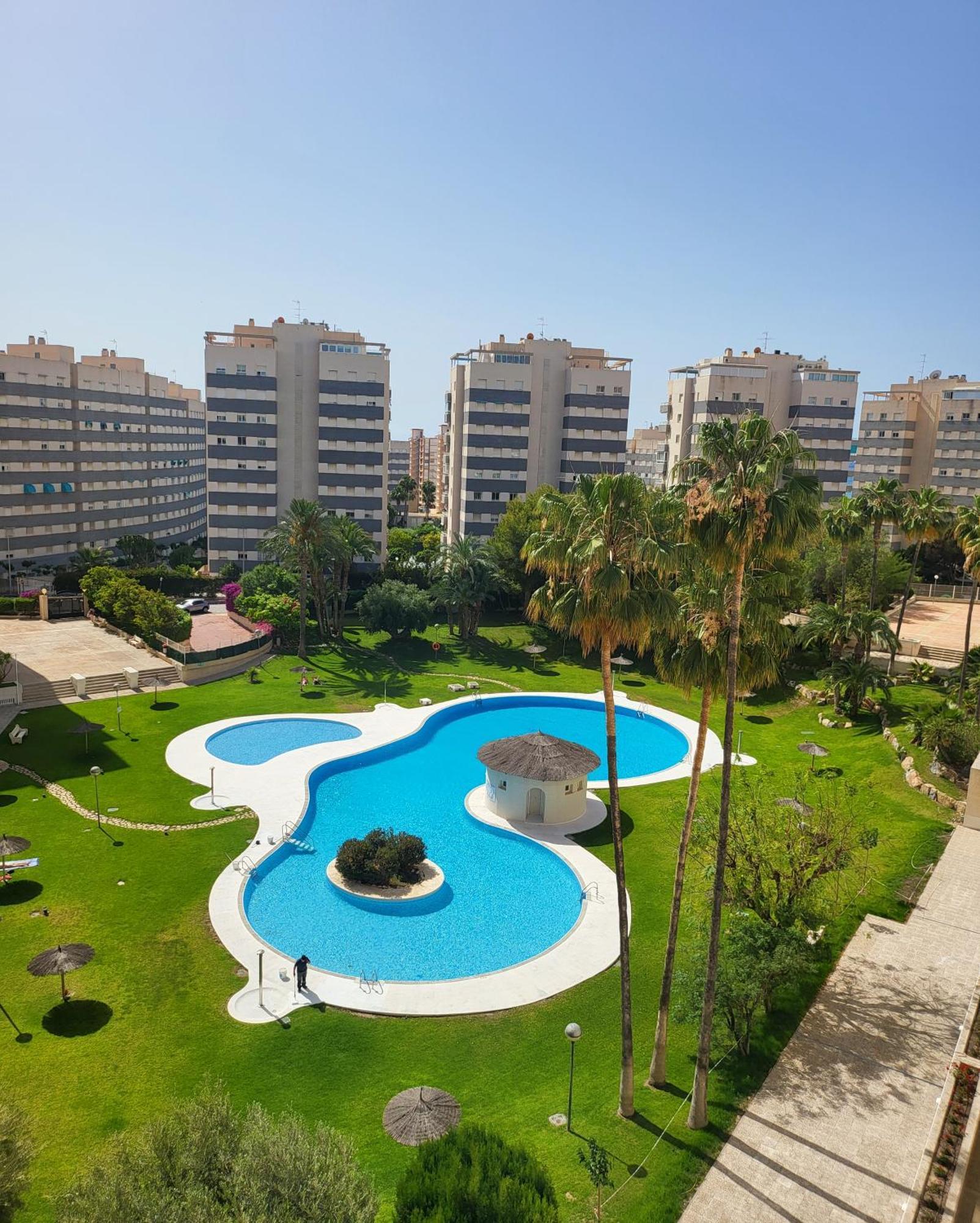 Jardin Del Mar Playa Muchavista - El Campello - Alicante Lejlighed Eksteriør billede