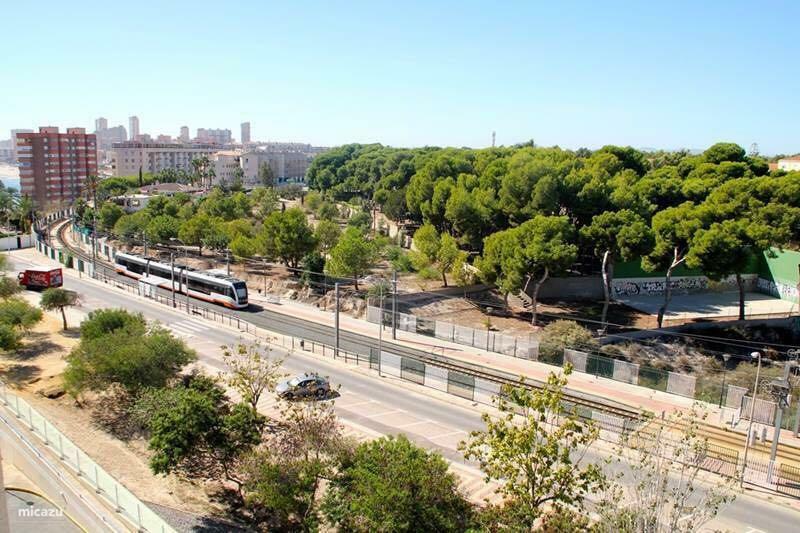 Jardin Del Mar Playa Muchavista - El Campello - Alicante Lejlighed Eksteriør billede